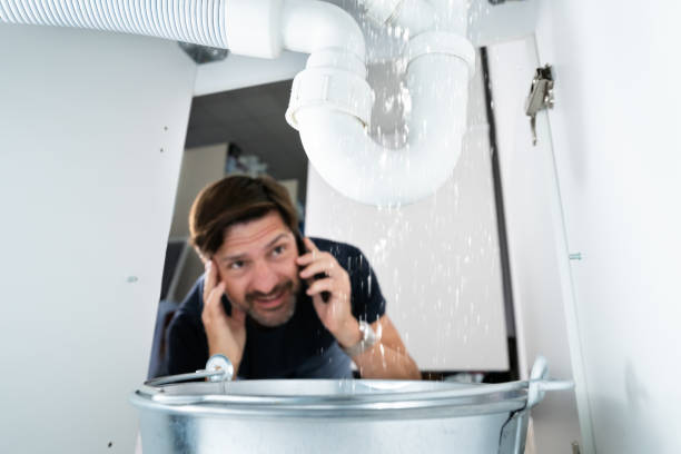 Best Emergency Plumbing Repair  in La Mesilla, NM