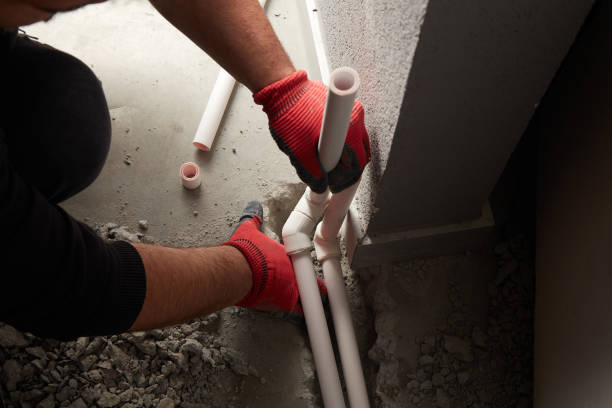 Best Local Plumber Services  in La Mesilla, NM