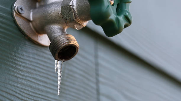 Shower Repair Services in La Mesilla, NM